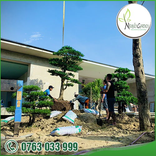 CÔNG TY TNHH TM DV NGUYỄN GARDEN